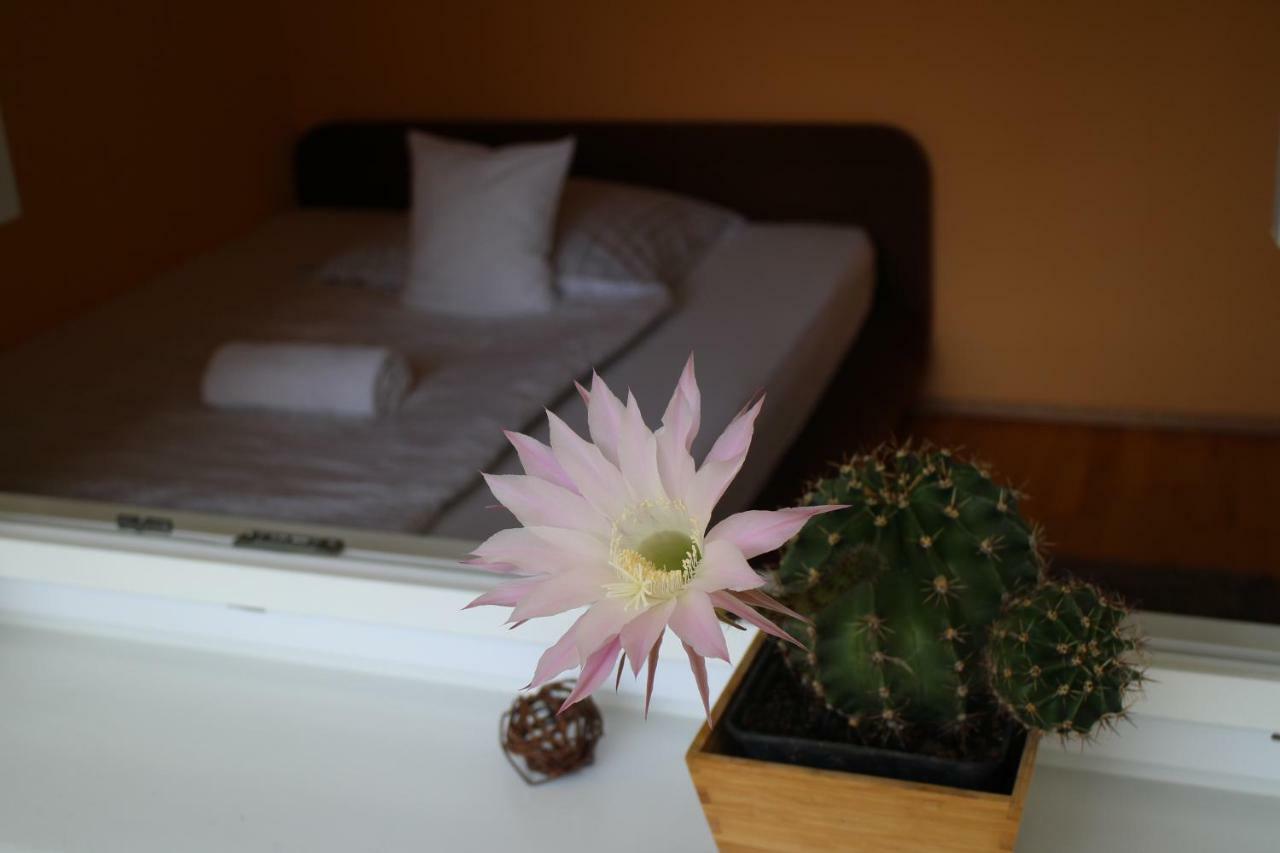 Bamboo Wellness Apartment Siófok Buitenkant foto